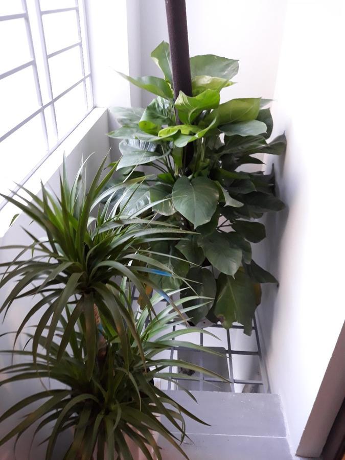 Blue Home Serviced Apartment Hanoi Buitenkant foto